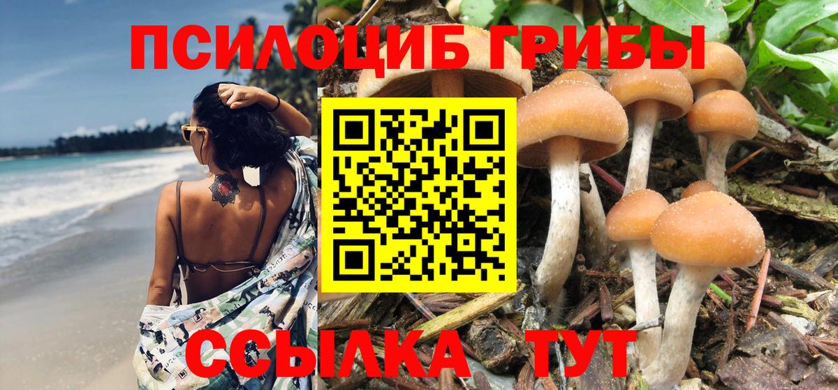 Псилоцибиновые грибы Magic Shrooms Урюпинск